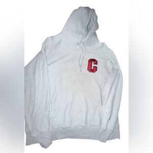 Champion Reverse Weave Y2K Sweatshirt Gray Pullover Hoodie Size XL unique logo